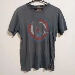 トランクショーTシャツ ブロンディ試着のみ TRUNKSHOW - トランクショーTシャツ ブロンディ試着のみの通販