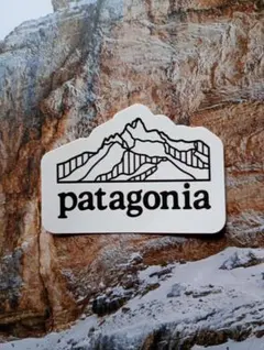 新品未使用☆パタゴニア patagonia ステッカー☆マウンテン