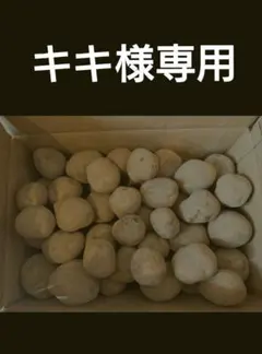 キキ様専用　よろしくお願いいたしますm(_ _)m