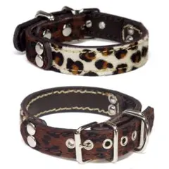 Item thumbnail for item c3daf7c9-9279-47fc-b2cd-a2a9c17e7690