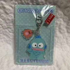 サンリオ ハンギョドン くじ アクリルチャーム 全身のサムネイル