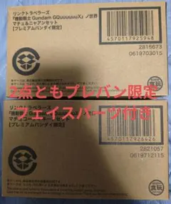 機動戦士Gundam GQuuuuuuX マチュ＆ニャアン コーディネートセット