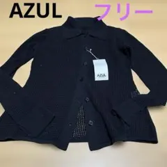 値下げ28日AZUL メッシュガーデ　フリーのサムネイル