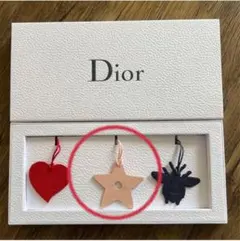 【未使用】Dior レザー チャーム　スター　キーホルダー　ディオール