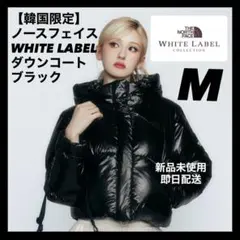 【韓国限定】ノースフェイス ダウン Mサイズ GLOSSY ELBERON