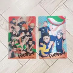 ハイキュー 3Dステッカー 烏野 2枚セット