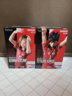 a*o様 ハイキューフィギュア ポージングフィギュア・孤爪研磨・黒尾鉄朗2体セッ