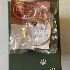 s*︎様 【新品未使用】　正規品　わんこのタイムカプセル　むぎ