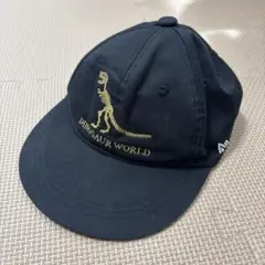 DINOSAUR WORLD キッズ キャップ ブラック　54㎝