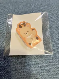 RIIZE ランダムトイ ソンチャン マグネットアクリルチャーム