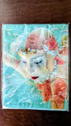 Item thumbnail for item 7827b834-5c6d-48fc-8029-6e6f30a44e4d