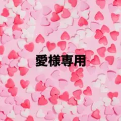 愛様専用ページ