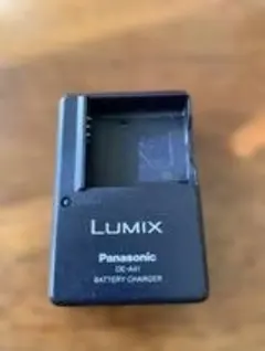 2026年最新】Lumix DMC-FX9の人気アイテム - メルカリ