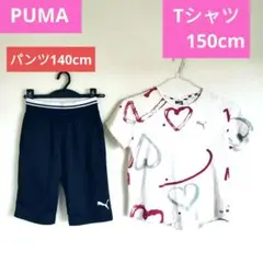 プーマ　Ｔシャツ 女の子150 　ショートパンツ140 cm 上・下セット