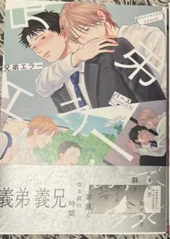 兄弟エラー　　パース