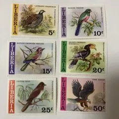 Item thumbnail for item d62991e7-c3bc-4990-bfe9-5e0af4b0aa79