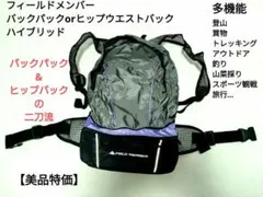 Item thumbnail for item f21eb4bd-632c-43ed-ac29-97b668342d93