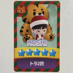 SEVENTEEN パズチ 会場限定 ホシ トレカ