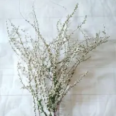 Tabasco様 リクエスト 2点 まとめ商品