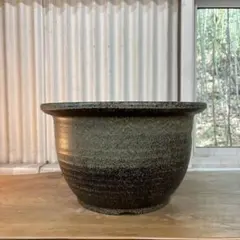 未使用品　信楽焼　水鉢　睡蓮鉢　メダカ鉢