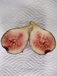 とーる様 リクエスト 3点 まとめ商品