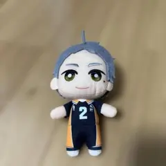 ハイキュー 菅原孝支 ぬいぐるみ