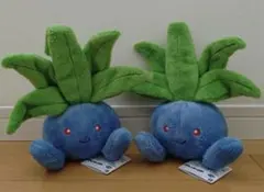 ポケモン ナゾノクサぬいぐるみ