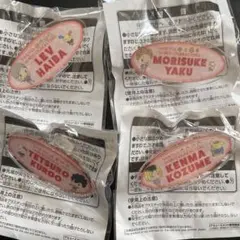 ハイキュー　サンリオキャラクターズ　アクリルバッチ