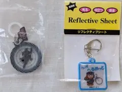 9.踊る大捜査線 キーホルダー 愛知県岡崎警察反射シート2点セット　新品未使用