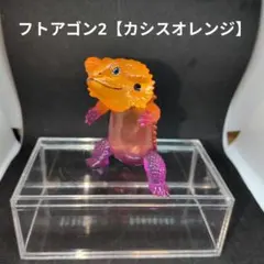 フトアゴン　限定品　専用 フトアゴン - スタジオソータ公式 | アートフィギュアの製造・販売