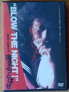 BLOW THE NIGHT! 夜をぶっとばせ DVD ストリートスライダーズ - メルカリ