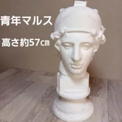 石膏像 ホメロス 胸像 デッサン用 石川古代彫刻製 - メルカリ