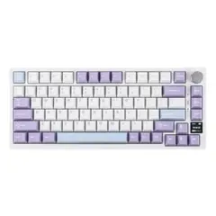 【極上コトコトキーボード】クリーミーな打鍵感 RK R75 廃盤VertexV1 極上コトコトキーボード】クリーミーな打鍵感 RK R75 廃盤VertexV1