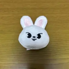 【新品未使用】straykids リービット skzoo Leebit leebitのフリマアイテム一覧
