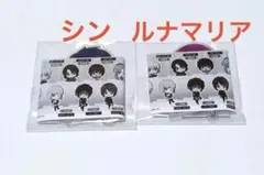 カドキャラ　ガンダムSEEDFREEDOM シン　ルナマリア　シンルナセット