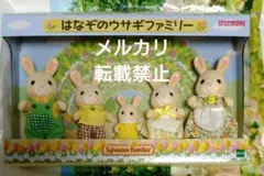 2026年最新】シルバニアファミリー はなぞのウサギの人気アイテム