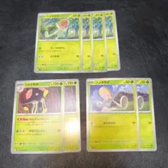 リククラゲ ねんきんコロニー ノノクラゲ 7