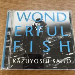 KAZUYOSHI SAITO WONDERFUL FISH