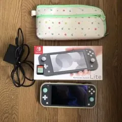 Nintendo Switch Lite グレー 充電器・ケース付あつ森ソフト