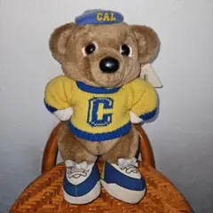 希少 レア バー クレー校 Oski xe Bear オスキーザベア 1987
