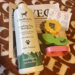 Item thumbnail for item d5eb377f-9ef8-44e0-a13c-f212f1aa4beb