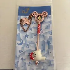 ディズニーバッグチェーン