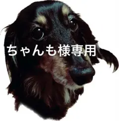 ちゃんも様専用トリミングチョーカーオーダーページ