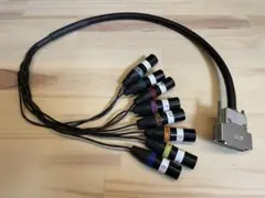 Item thumbnail for item 527fbe6d-272e-4f30-9b1b-33f642f1cdaf