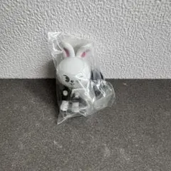 skzoo スキズ ガチャ キーホルダー カニカン リービット