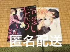 商業BL まとめ売り　特典　アニメイト