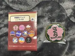 Item thumbnail for item 343bed57-8bd1-4641-910a-048b6a4f8cc2