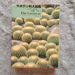 2026年最新】伊藤芳夫の人気アイテム - メルカリ