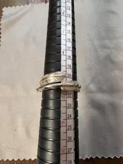 ひ*ろ様 アリゾナフリーダム　フェザーリング　21号