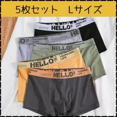 ＊【新品】L メンズ ボクサーパンツ 5枚 吸汗速乾 抗菌防臭 アンダーウェア